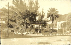 Jardin A. Obregon Postcard