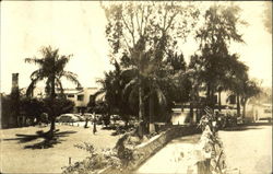 A Tropical Oasis Postcard