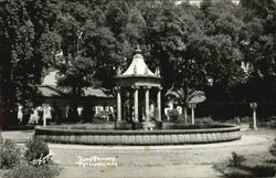 Piger-Principal Postcard