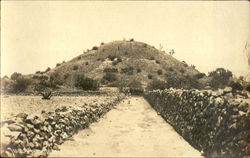 Stock #173244 Thumbnail