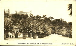 Entrada Al Bosque De Chapultepec Postcard