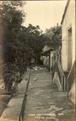 Jardin Borda Postcard