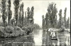 Xochimilco Postcard