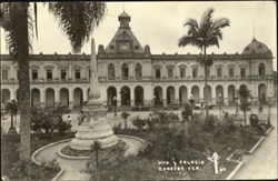 Mto. Y Palacio Postcard