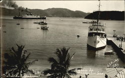 Bahia De Cassapuleo Postcard