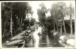 Xochimilco Postcard