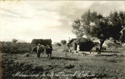 Alderredoner De Monterrey Postcard