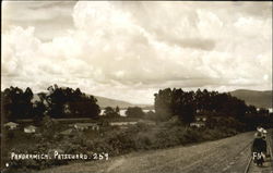 Pandramica Postcard