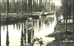 Xochimilco Postcard