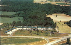 Cobb's Motel, U. S. Hwy. 301 Postcard