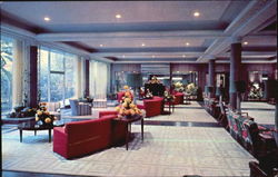 Menger Hotel Postcard