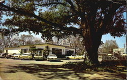 Merry Acres Restaurant, U.S. Highway 82 North Albany, GA Postcard Postcard