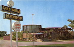Sand Dollar Postcard