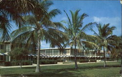 Grand Bahama Club Postcard