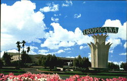 The Tropicana Hotel Postcard