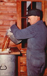 Processed Maple Syrup Postcard