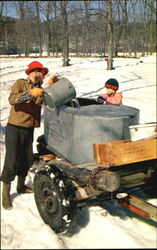 Maple Sap Being Poured Into Gathering Tank Scenic, VT Postcard Postcard