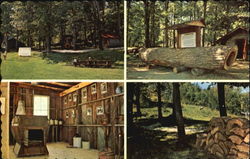 Blue Mountain Sugarbush Postcard