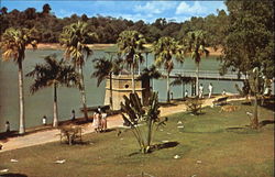 Scratchier Reservoir Singapore Southeast Asia Postcard Postcard