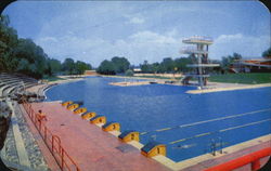 Olympic Swimming Pool Postcard