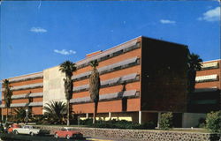 The University Of Arizona Postcard