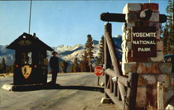Yosemite National Park California Postcard Postcard