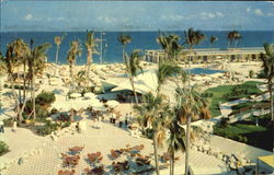 Americana Hotel, Bal Harbour Miami Beach, FL Postcard Postcard