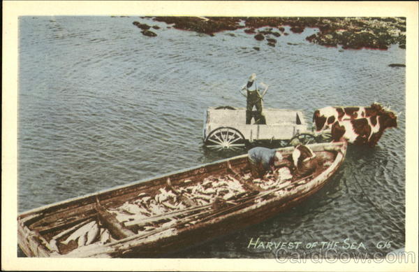 Harvest Of The Sea Canada Misc. Canada