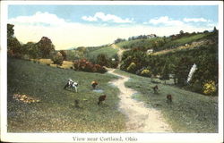 View Near Cortland Ohio Postcard Postcard