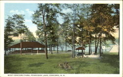 West Concord Park, Penacook Lake Postcard