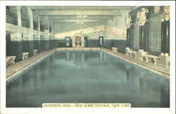 Swimming Pool- The Park Central, 7th Ave, 55th-56th St. New York, NY Postcard Postcard