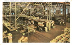 Orange And Grapefruit Packing House In The Sunshine State Postcard