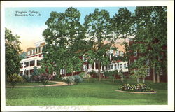 Virginia College Roanoke, VA Postcard Postcard