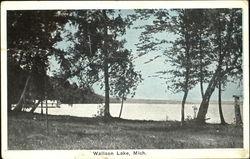 Walloon Lake Michigan Postcard Postcard