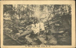In The Glen High View, NY Postcard Postcard