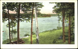 Riverside View Postcard