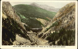 Kicking Horse Postcard