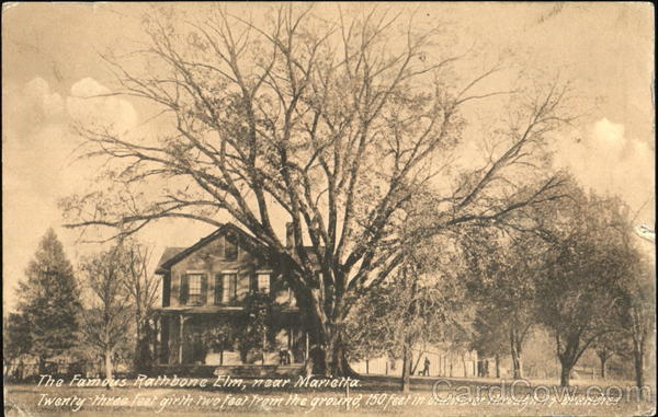 The Famous Rathbone Elm Near Marietta Ohio