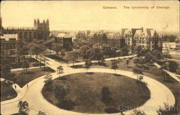 Campus, University of Chicago Illinois