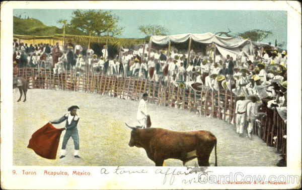 Toros Acapulco Mexico