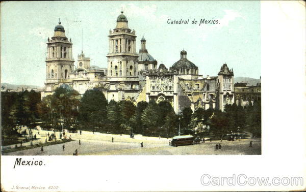 Catedral De Mexico