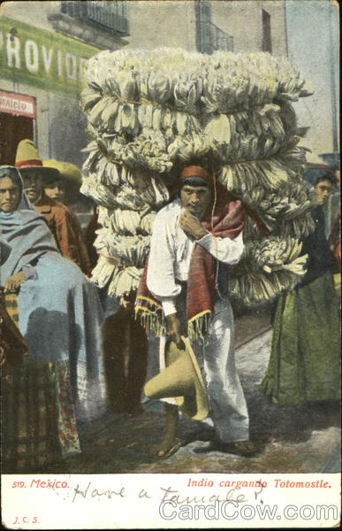 Indio Cargado Totomostle Mexico