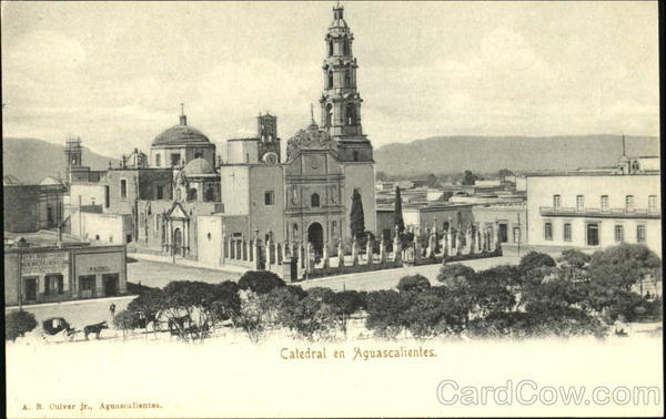 Catedral En Aguascalientes Mexico