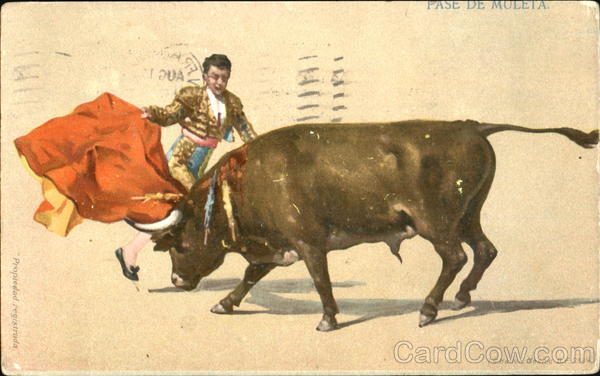 Pase De Muleta Mexico