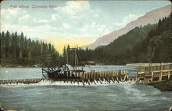 Fish Wheel Columbia River Postcard