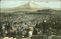 Mt. Hood (Elevation 11934 Ft.) Postcard