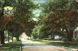 Beautiful Springfield, Third Street Postcard