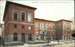 University Of Buffalo (Medical Dept.) New York Postcard Postcard