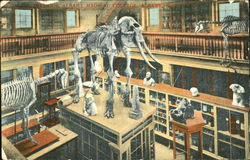 Interior Albany Medical College Postcard