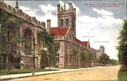 University Of Chicago Buildings, Lexington Avenue Postcard